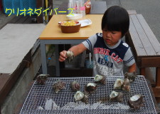 サザエ狩りイベントBBQ