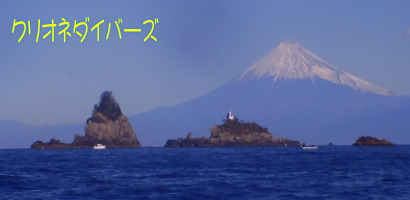 田子海洋状況