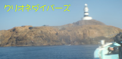 田子海洋状況