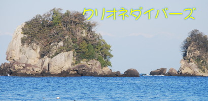 田子海洋状況