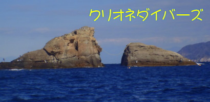 田子海洋状況