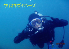 田子体験ダイビング