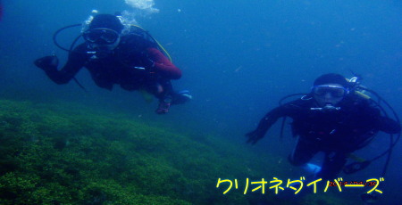 田子体験ダイビング