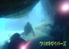 雲見洞窟ダイビング