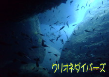 雲見洞窟ダイビング