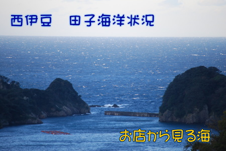 海洋状況