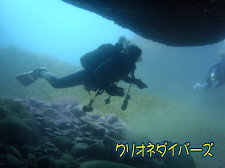 雲見洞窟ダイビング