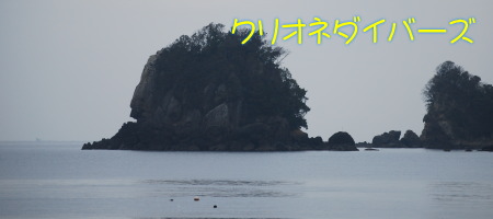 田子海洋状況