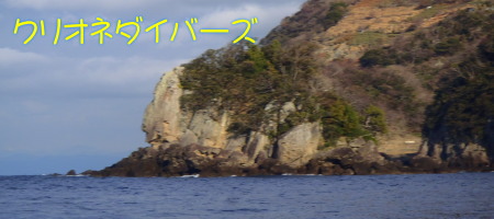 田子海洋状況