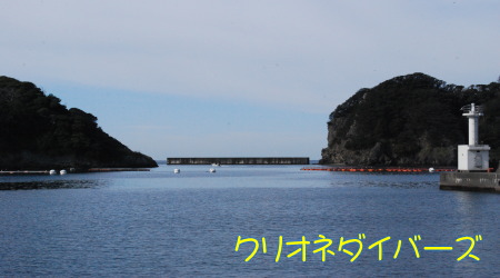 田子海洋状況