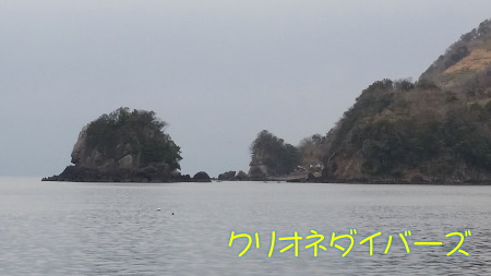 田子海洋状況