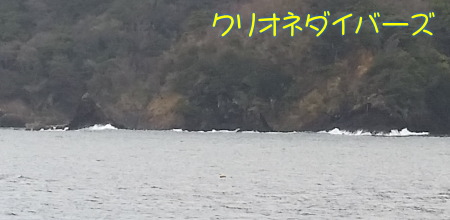 田子海洋状況