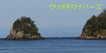 田子海洋状況