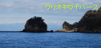 田子海洋状況