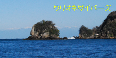 田子海洋状況