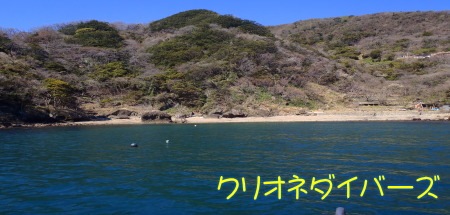 田子海洋状況