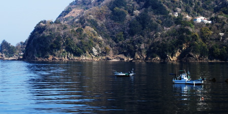 田子海洋状況