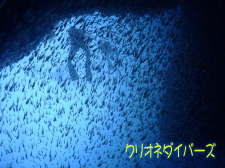 雲見ダイビング