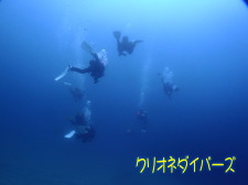 雲見ダイビング