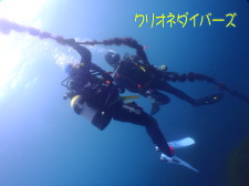 雲見体験ダイビング