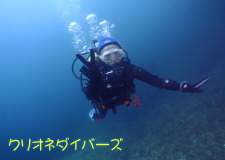 雲見体験ダイビング