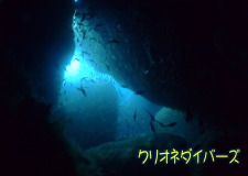 雲見ダイビング洞窟