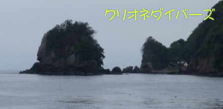 田子海洋状況