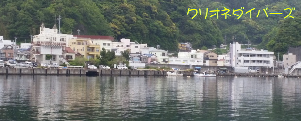 田子港