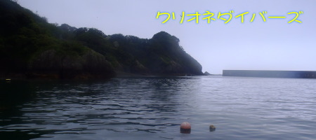 田子海洋状況