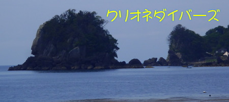 田子海洋状況