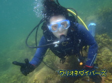 雲見体験ダイビング