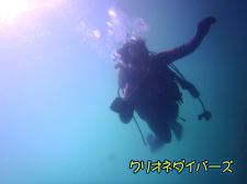 オープンウォーター実技テスト