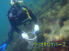 雲見海底清掃