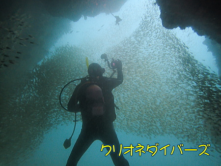 雲見ダイビング