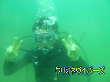 西伊豆田子体験ダイビング