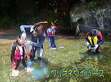 田子瀬の浜海水浴場