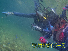 田子瀬の浜海水浴場