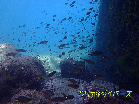 雲見体験だいびんぐ