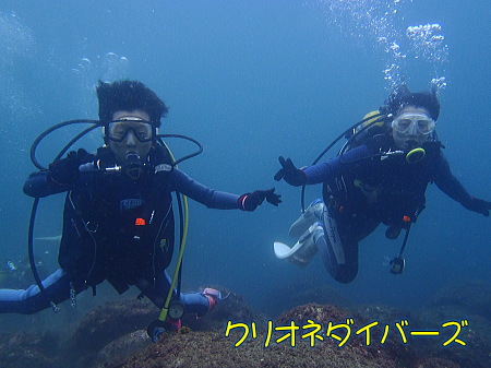 雲見体験ダイビング