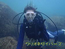 雲見体験ダイビング