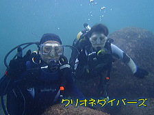 雲見体験ダイビング