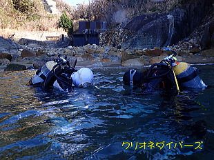 西伊豆雲見体験ダイビング