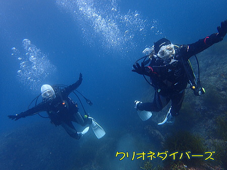 西伊豆雲見体験ダイビング