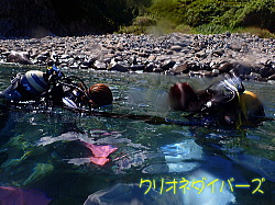 雲見体験ダイビング