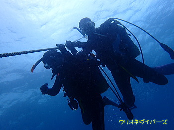 西伊豆田子ダイビング