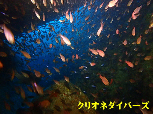 雲見ダイビング