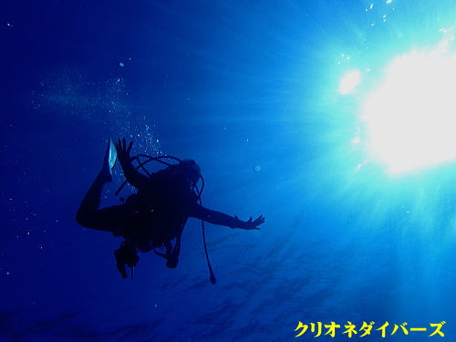雲見記念ダイブ