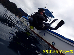 西伊豆ダイビングライセンス講習