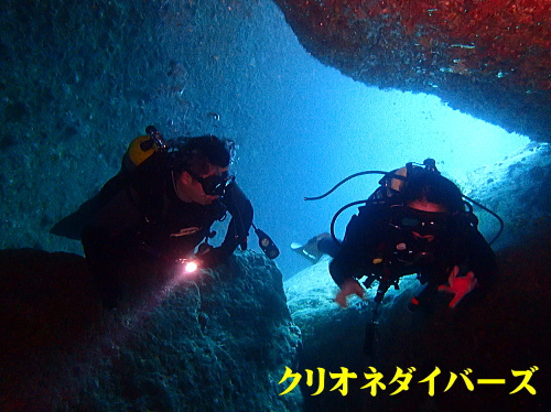 西伊豆ダイビングライセンス講習