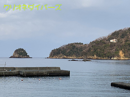 西伊豆田子海洋状況